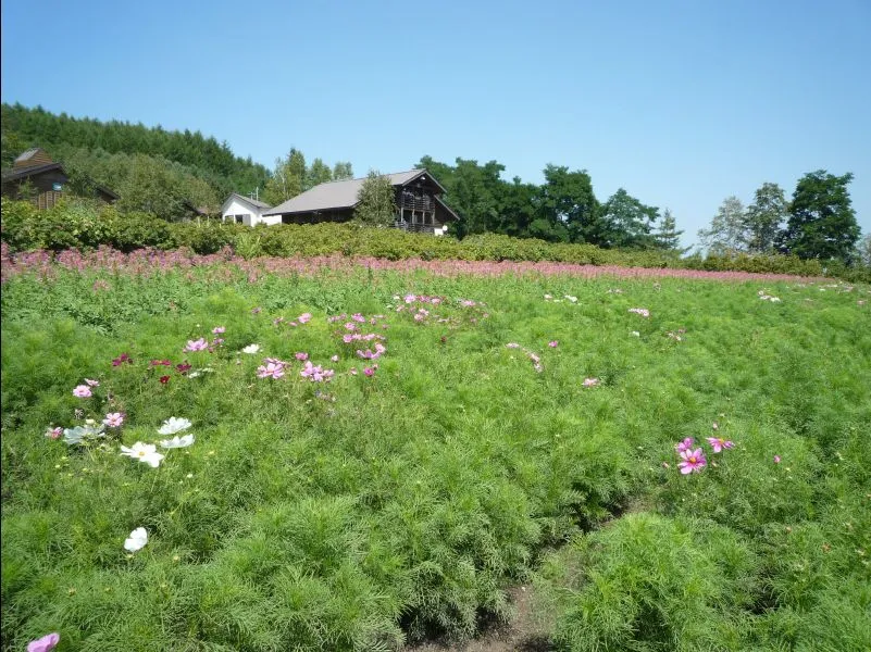 Farm Tomita