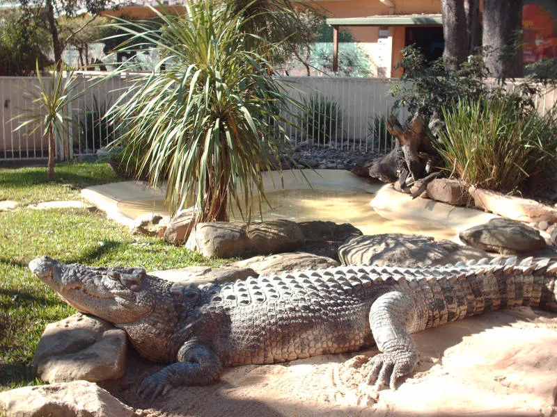 Featherdale Wildlife Park