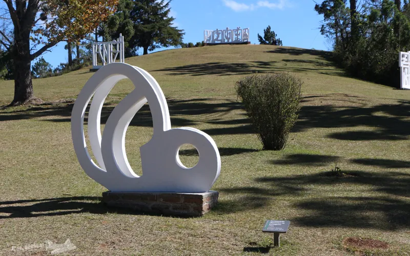 Felicia Leirner Museum