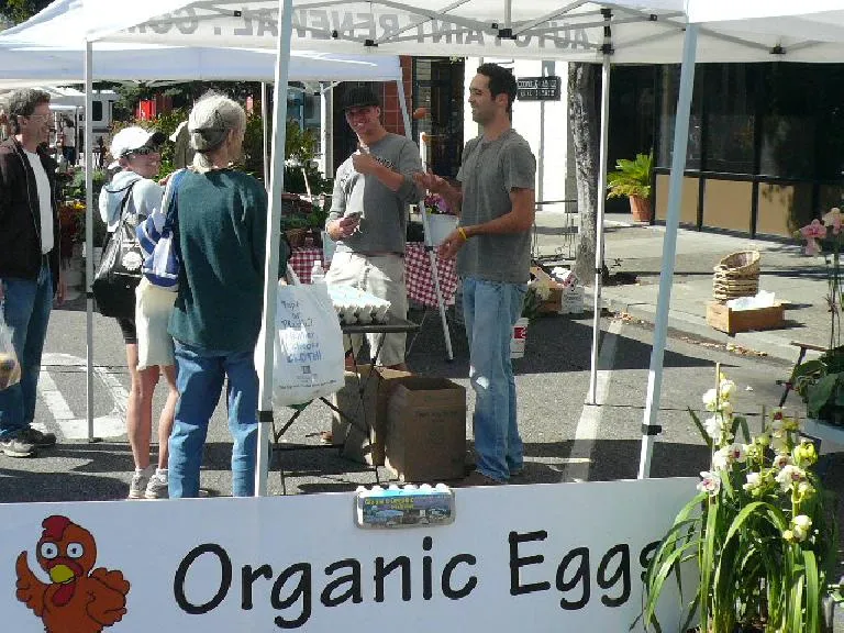 Felix Organic Farm