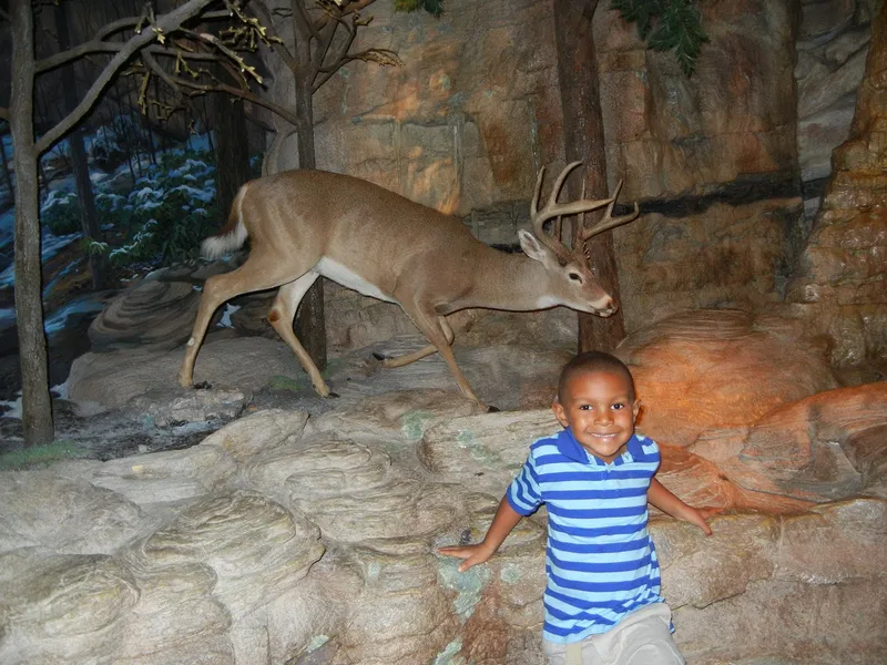 Fernbank Forest