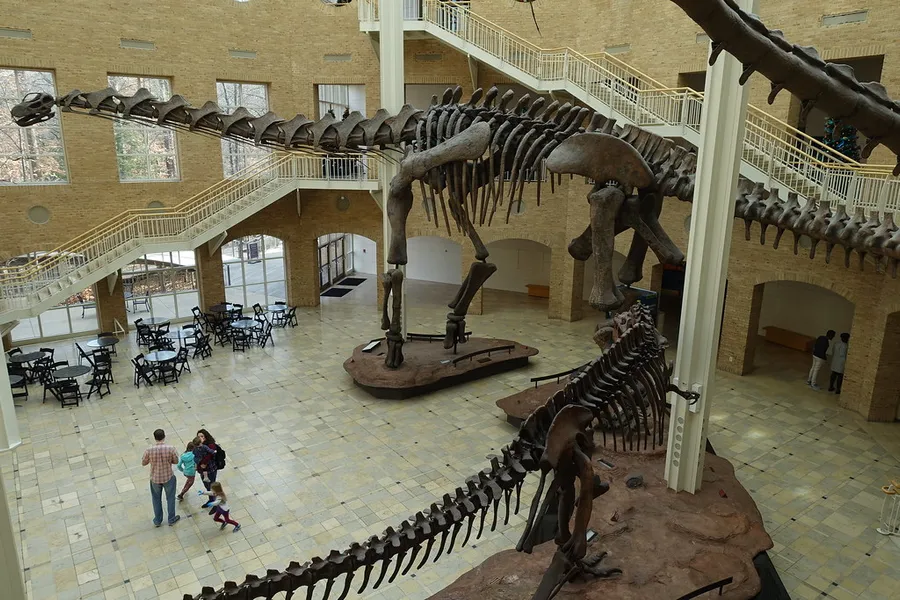 Fernbank Museum of Natural History