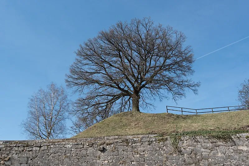 Festung Rosenberg