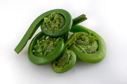 Fiddleheads Health and Herbs