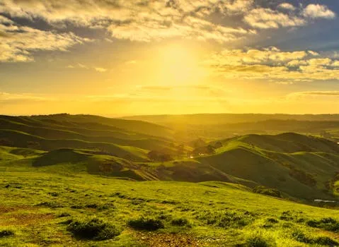 Field of Light