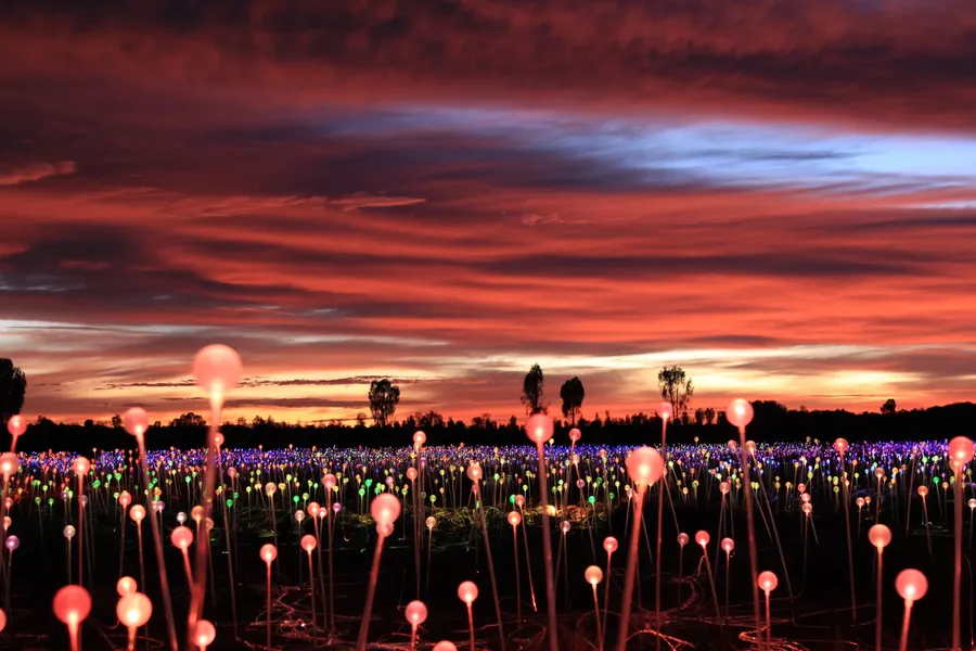 Field of Light at Yulara