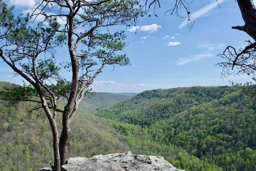 Fiery Gizzard Trail