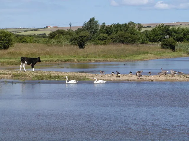 Filey Dams Nature Reserve