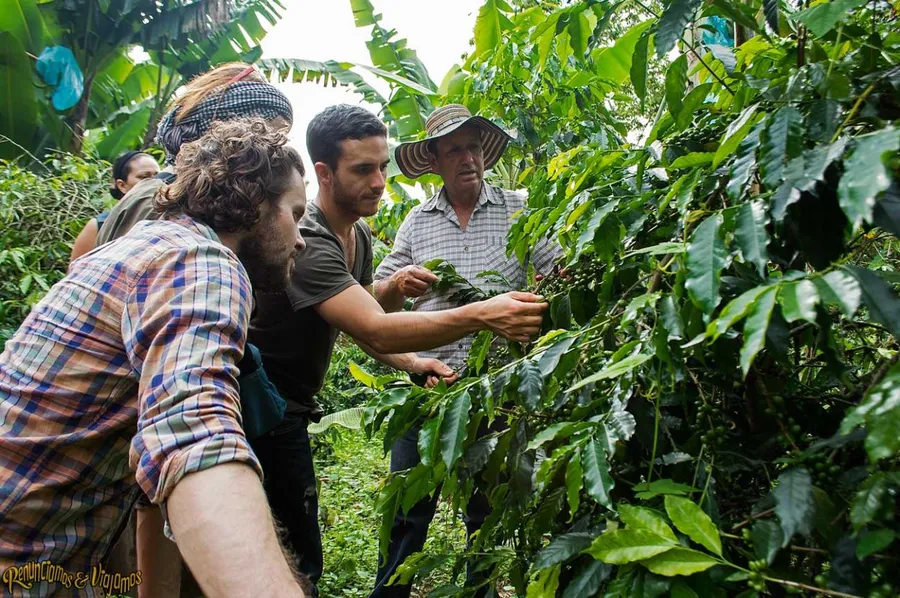 Finca Cafetera Tours