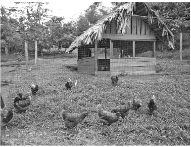 Finca Integral Talamanca