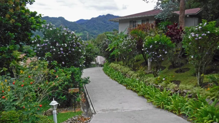 Finca Lerida Coffee Plantation
