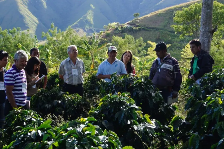Finca de Cafe (Coffee Farm Tour)