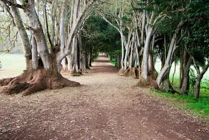 Finca de Osorio