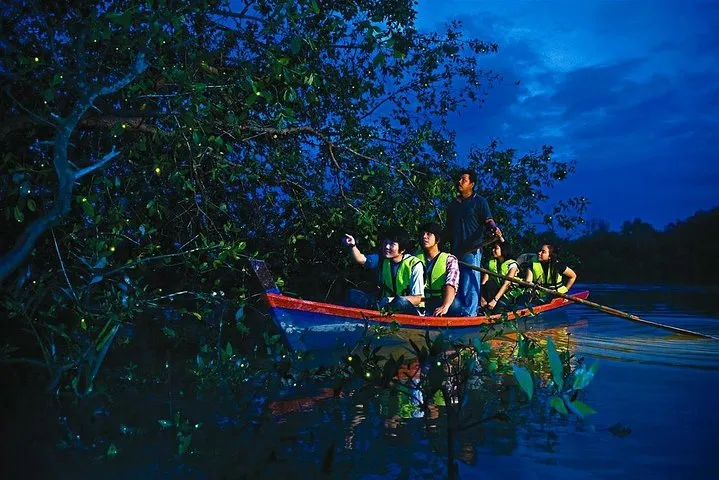 Firefly Watching at Kuala Selangor