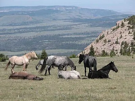 First Peoples Buffalo Jump State Park