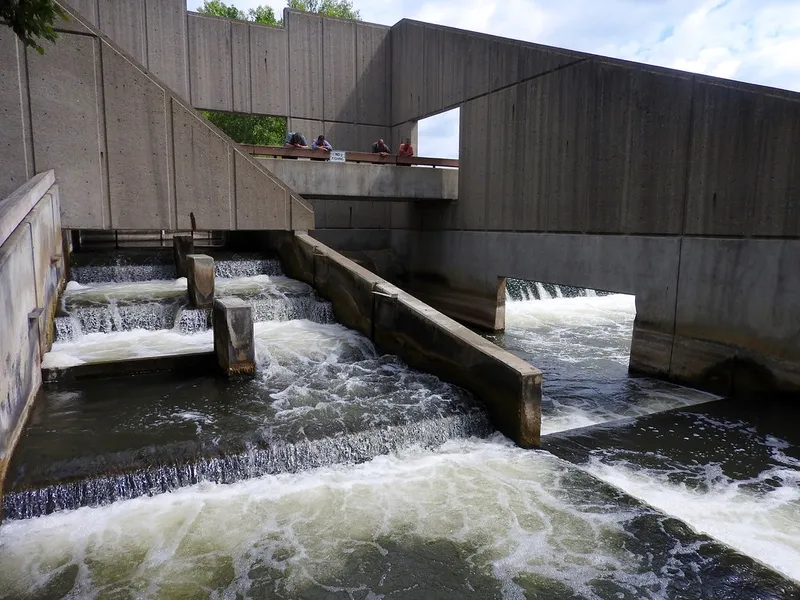 Fish Ladder Park