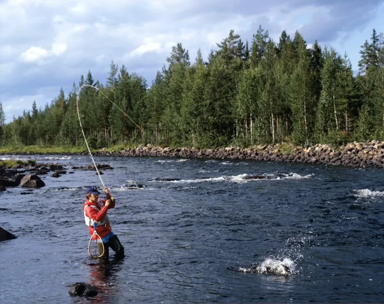 Fishing in Klintehamn