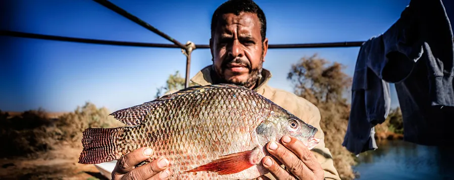 Fishing on Lake Nasser
