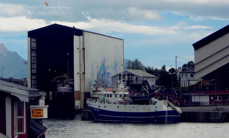 Fishing trips from Ballstad