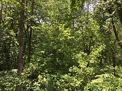 Flandrau State Park