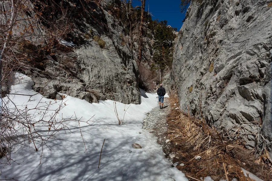 Fletcher Canyon Trail