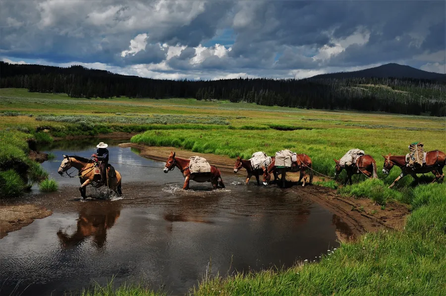 Fly Fishing Outfitters