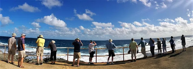 Foa Island Beaches
