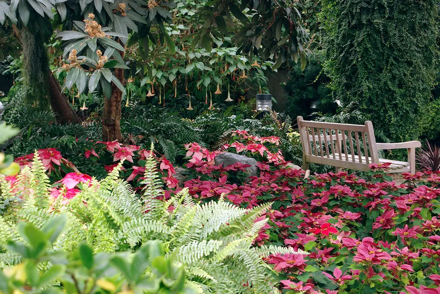 Foellinger-Freimann Botanical Conservatory