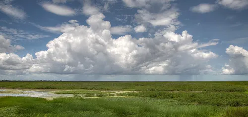 Fogg Dam Conservation Reserve