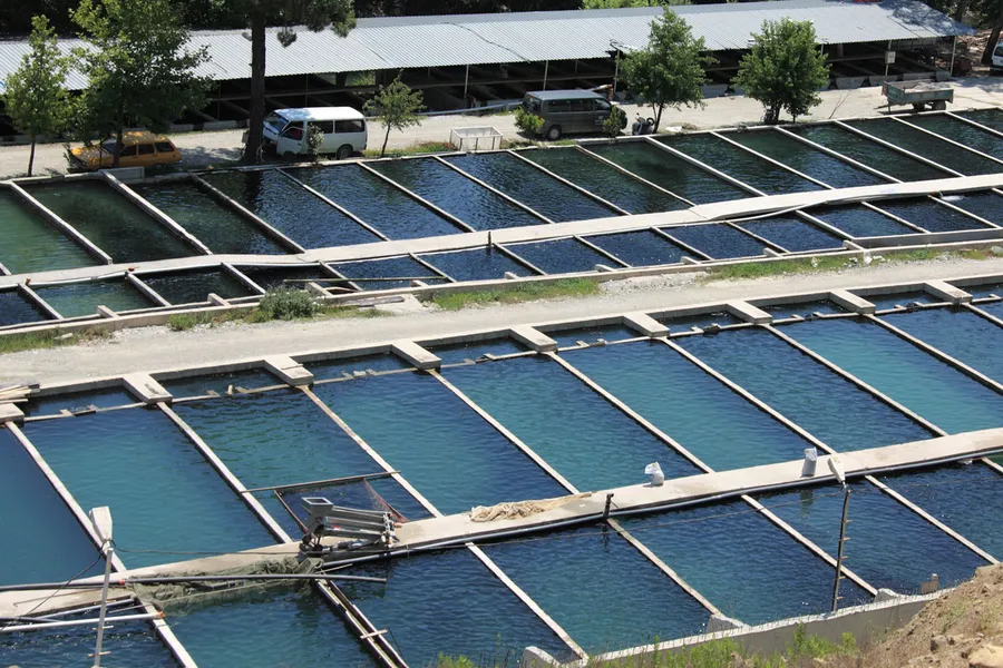 Fonda Fish Farm