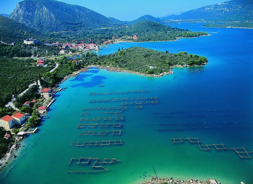 Fonda Fish Farm