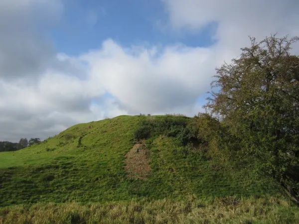 Forêt d'Aumale