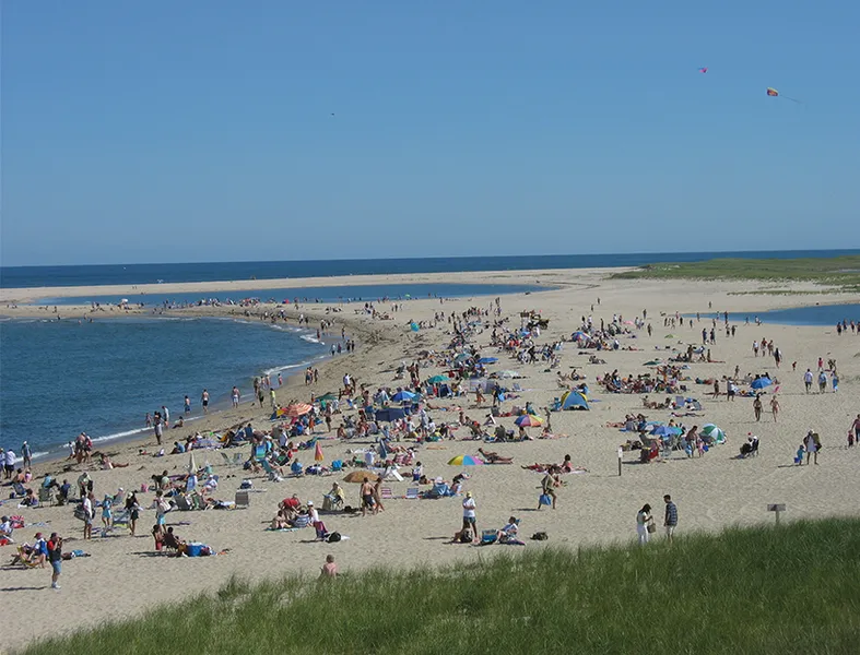 Forest Beach