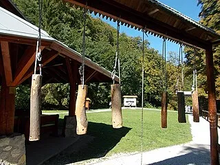 Forest Museum