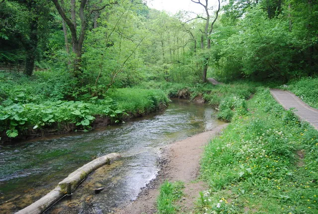 Forge Valley Woods National Nature Reserve