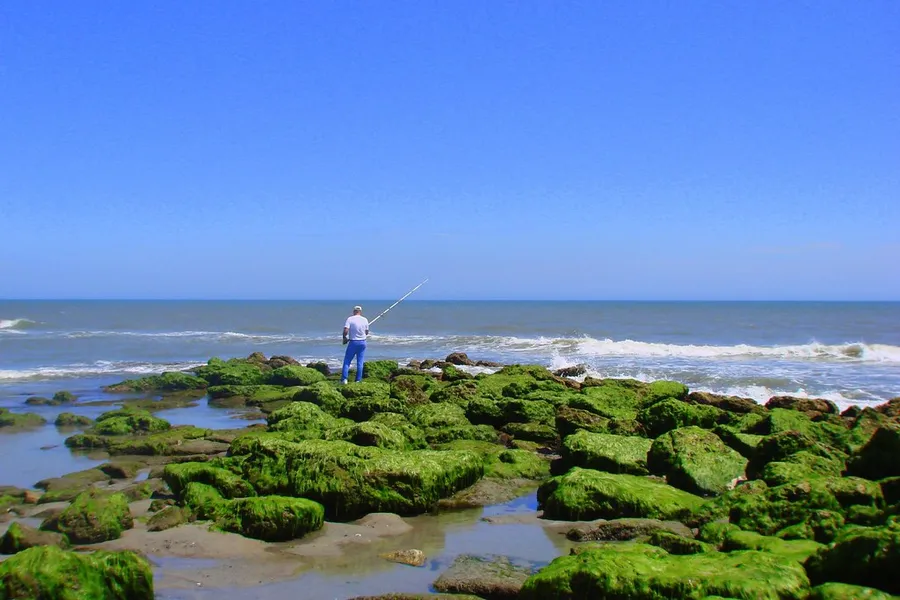 Fort Fisher State Recreation Area