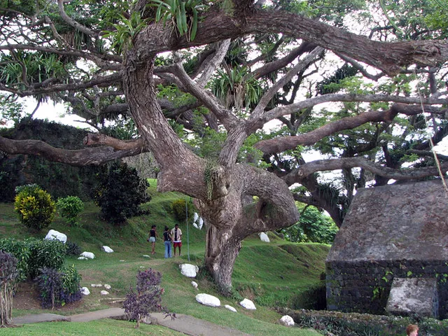 Fort King George