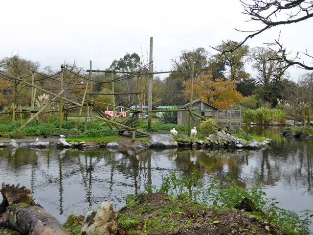 Fota Wildlife Park