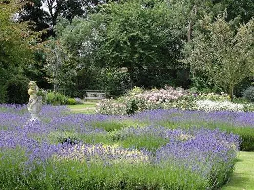 Fragrant Isle Lavender Farm & Shop