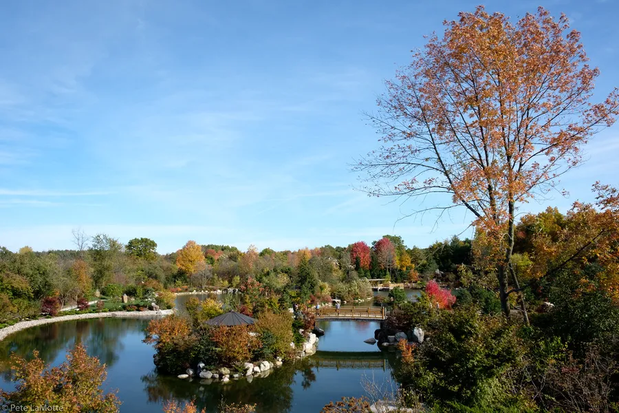Frederik Meijer Gardens & Sculpture Park