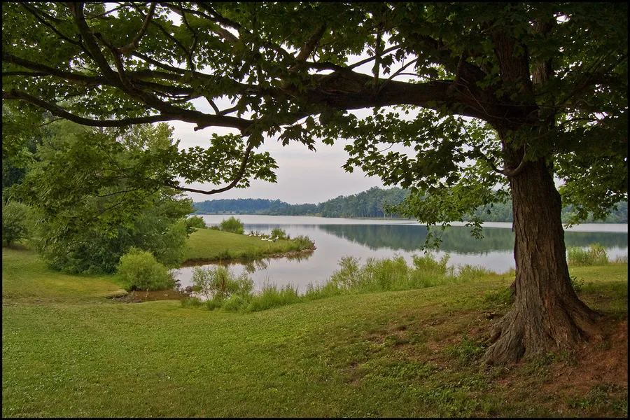 Freeman Park