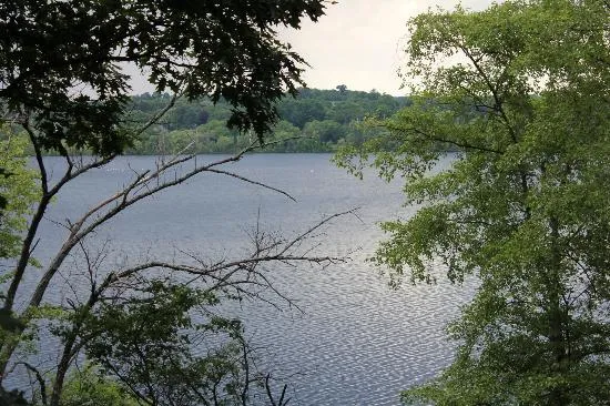 Fresh Pond Reservation