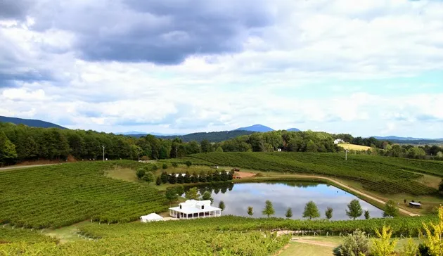 Frogtown Cellars