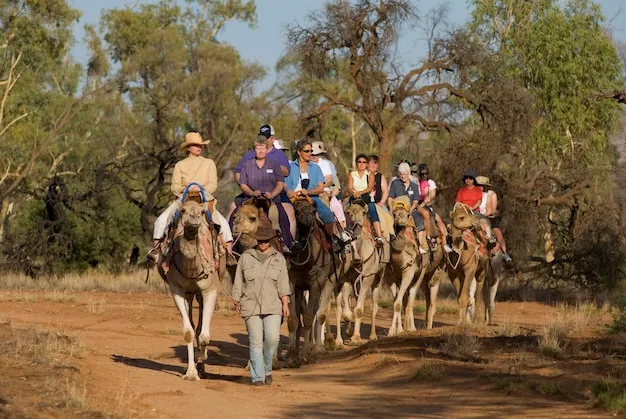 Frontier Camel Farm