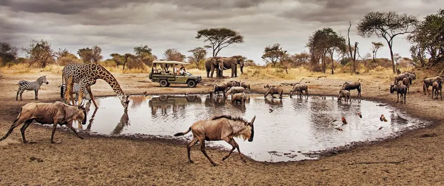 Full Day Game Drive at Serengeti National Park