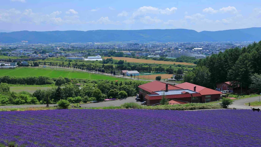 Furano Winery
