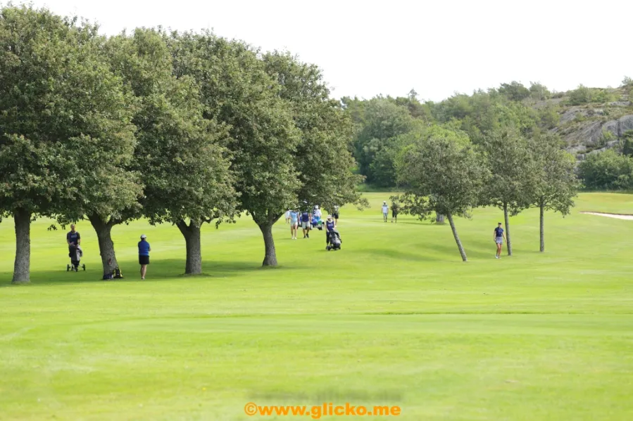 Fylsta Golf Club