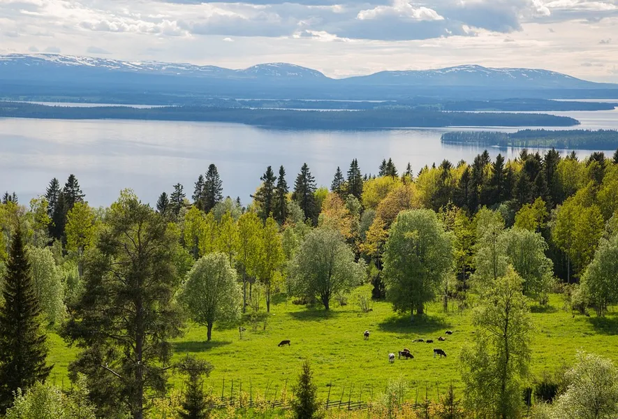Gärdsken Nature Reserve