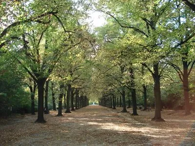 Gödöllő Arboretum