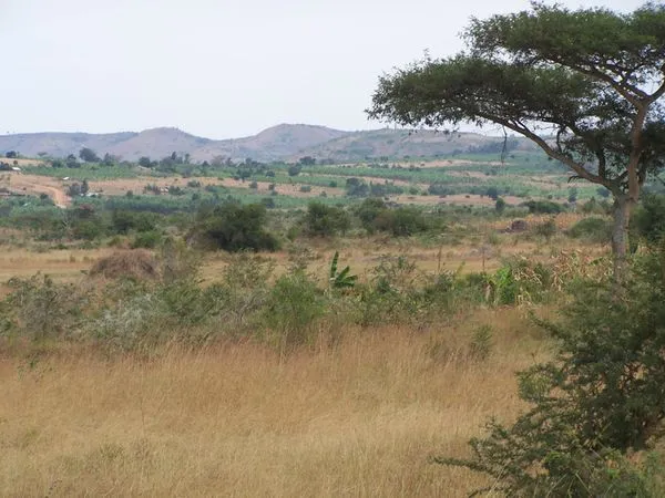 Game Drive in Lake Mburo National Park